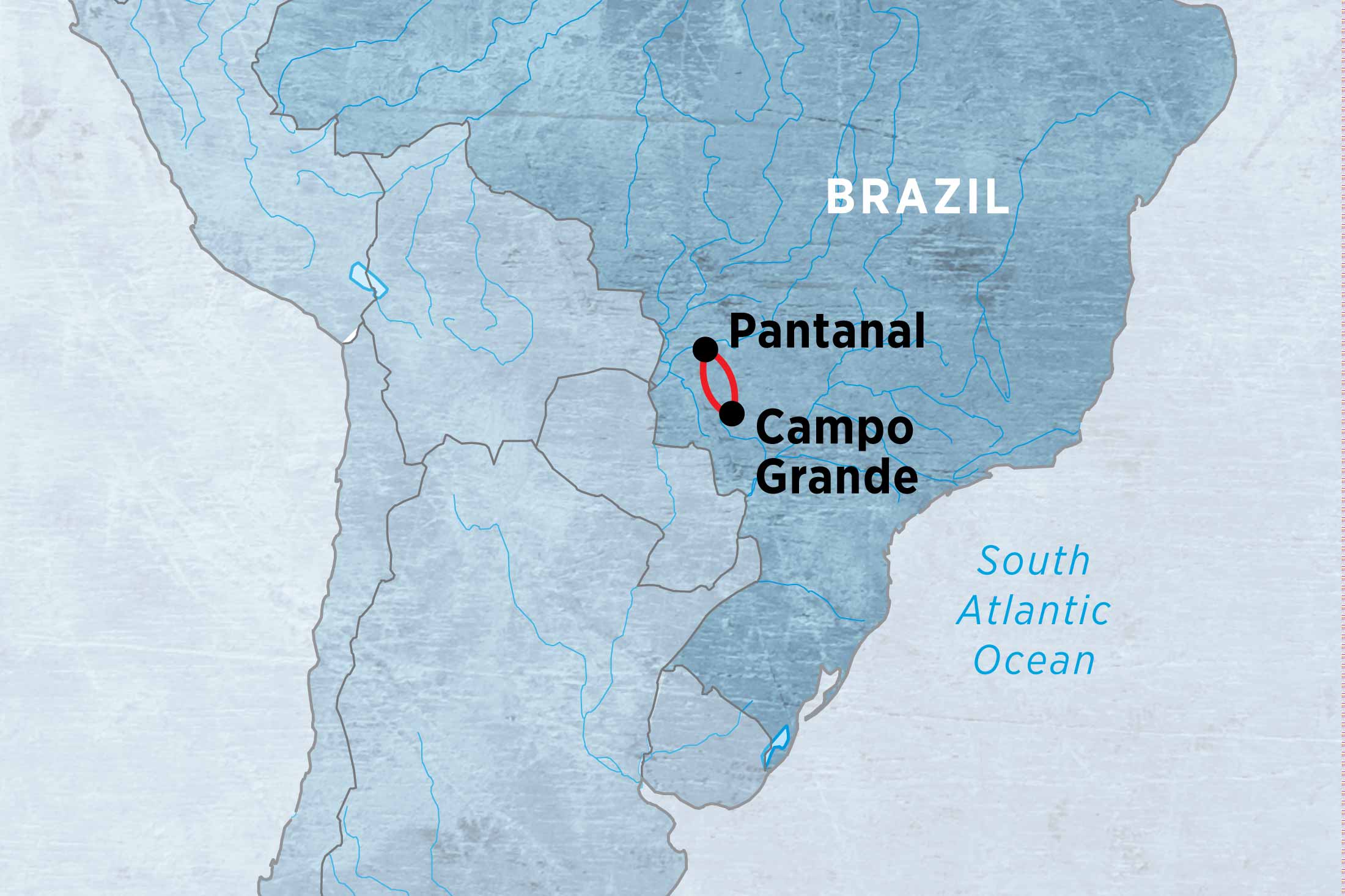 Brazil Pantanal Experience – Independent