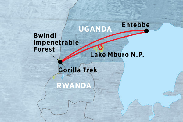 Mountain Gorillas of Uganda Experience – Independent