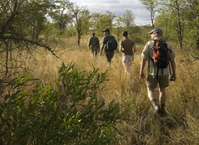 The World’s Best Treks hiking