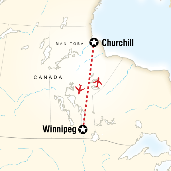 Churchill Polar Bears Independent Adventure