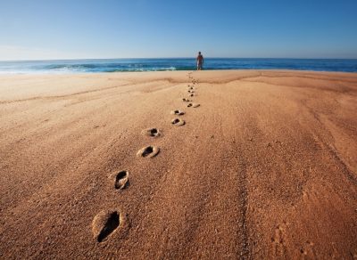 Learn something new on your next journey travel