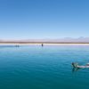 Chile’s Atacama Desert Atacama